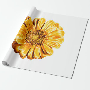 Egeïsoleerd voor één gouden gerbera-bloemwitte ach cadeaupapier