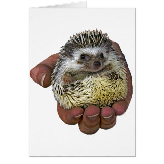 Egel