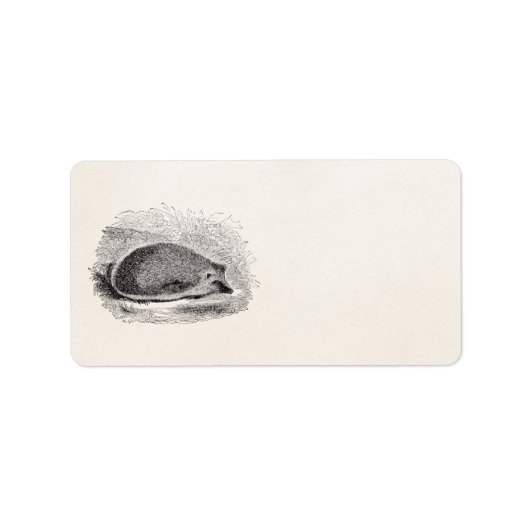 egel 1800s Egel Illustratie Etiket (Voorkant)