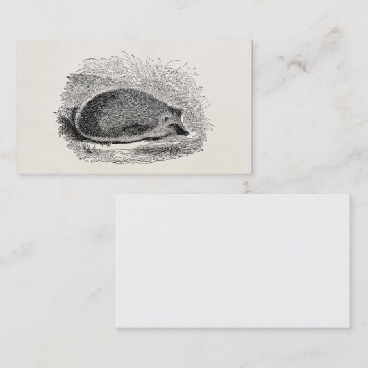  egel 1800s Egel Illustratie Visitekaartje (Voorkant / Achterkant)