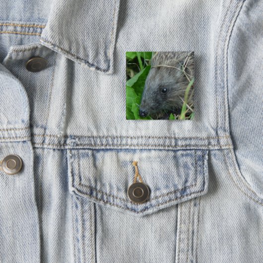 Egel #1 vierkante button 5,1 cm (In situ)