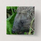 Egel #1 vierkante button 5,1 cm (Voorkant)
