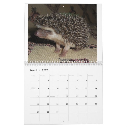 Egel-baby kalender 3 (Mar 2026)