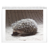 Egel-baby kalender 3 (Hoes)