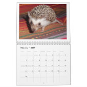 Egel-baby kalender 3 (Feb 2027)