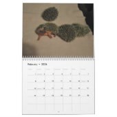 Egel babykalender kalender (Feb 2026)