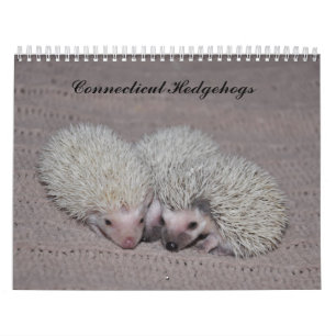 Egel babykalender kalender