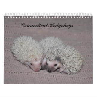 Egel babykalender kalender