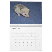 Egel babykalender kalender (Jan 2026)