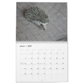 Egel babykalender kalender (Mar 2027)