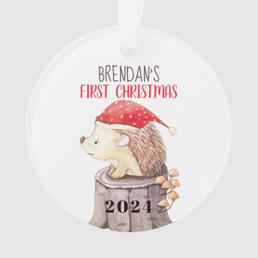Egel Baby's eerste Kerstmis Ornament (voorkant)