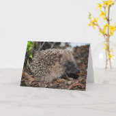 Egel Birthday Card Kaart (Gele Bloem)