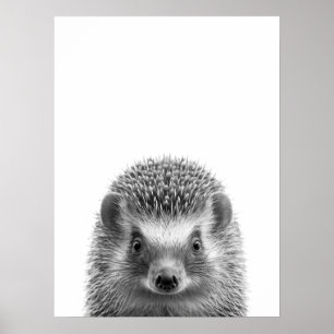 Egel Bosland Modern Portret zwart wit Poster