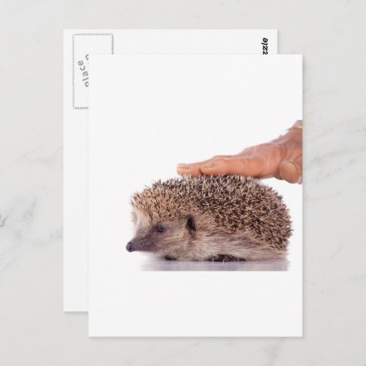 Egel, Briefkaart (Voorkant / Achterkant)