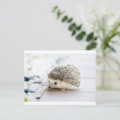 Egel Briefkaart (Staand voorkant)