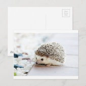 Egel Briefkaart (Voorkant / Achterkant)