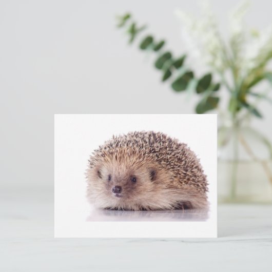 Egel, Briefkaart (Staand voorkant)