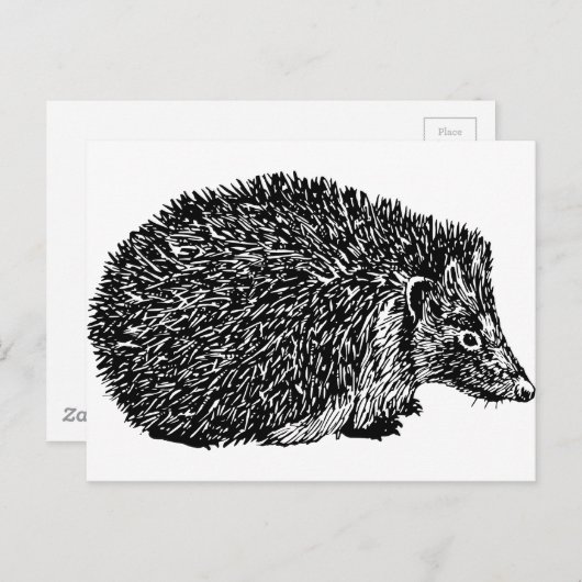 Egel Briefkaart (Voorkant / Achterkant)