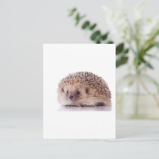 Egel, Briefkaart (Staand voorkant)