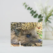 Egel Briefkaart (Staand voorkant)