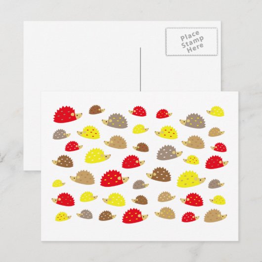 egel briefkaart (Voorkant / Achterkant)