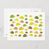 egel briefkaart (Voorkant / Achterkant)