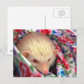 egel-briefkaart briefkaart (Voorkant / Achterkant)