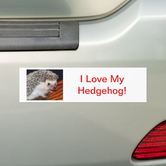 Egel Bumpersticker (Op auto)