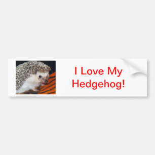 Egel Bumpersticker