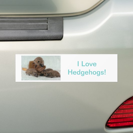 Egel Bumpersticker (Op auto)