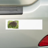 Egel-Bumperstickers Bumpersticker (Op auto)