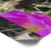 Egel Cactus Flower Poster (Hoek)