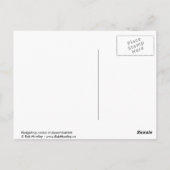 Egel-cactus in woestijnhabitat briefkaart (Achterkant)