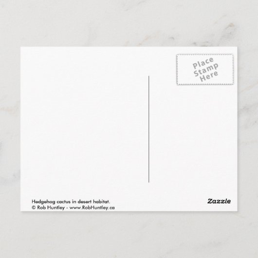 Egel-cactus in woestijnhabitat briefkaart (Achterkant)