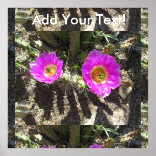 Egel Cactus Poster