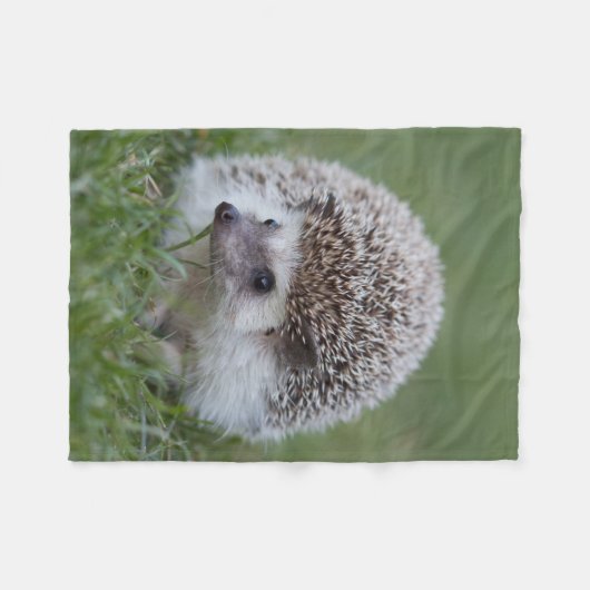 Egel deken (Voorkant (Horizontaal))