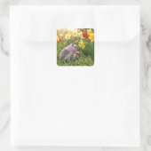 Egel die een gele narcis besnuffelt vierkante sticker (Tas)