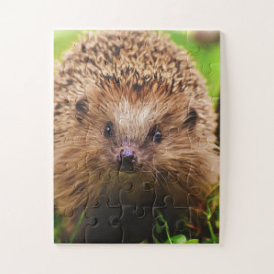 Egel die vreemd genoeg in Natuur verkennen Legpuzzel