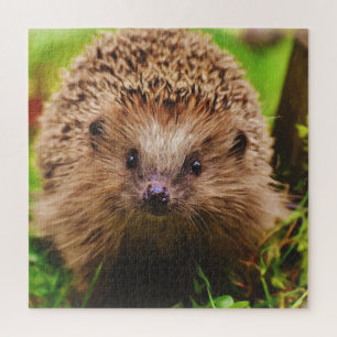 Egel die vreemd genoeg in Natuur verkennen Legpuzzel