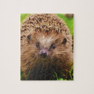 Egel die vreemd genoeg in Natuur verkennen Legpuzzel