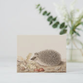 Egel door Giovanna Garzoni Briefkaart (Staand voorkant)