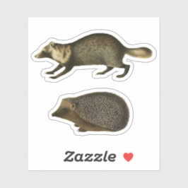 Egel en Marten Realistic  Illustration Sticker