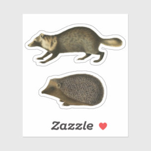 Egel en Marten Realistic  Illustration Sticker