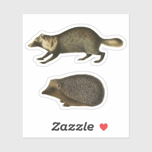 Egel en Marten Realistic  Illustration Sticker (Vel)