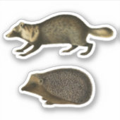 Egel en Marten Realistic  Illustration Sticker (Voorkant)