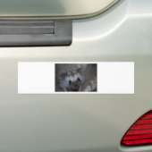 Egel Face Bumpersticker (Op auto)