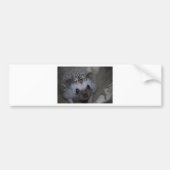 Egel Face Bumpersticker (Voorkant)