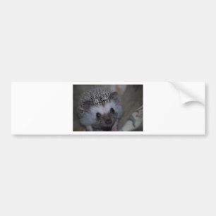 Egel Face Bumpersticker