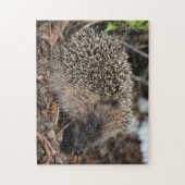 Egel Foto Puzzle Legpuzzel (Verticaal)
