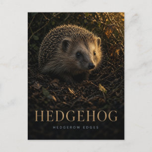 Egel heggenrand randen natuur dier briefkaart